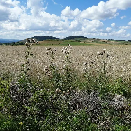 Et Table D'hotes Regord'ane Frühstückspension Le Brignon