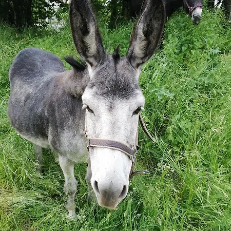 Et Table D'hotes Regord'ane Frühstückspension *