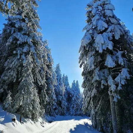 Et Table D'hotes Regord'ane Frühstückspension *